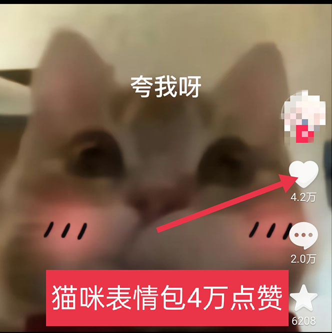 165428gjc4ibzcb443zw45.jpg