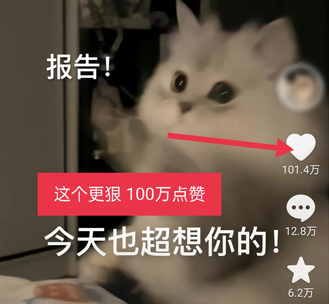 165429a1r33hmlqhooi6mh.jpg
